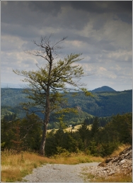 <p>Lužické hory - výhled z Jedlové</p>